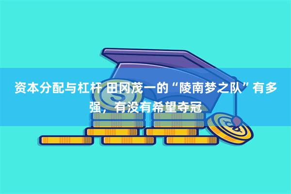 资本分配与杠杆 田冈茂一的“陵南梦之队”有多强，有没有希望夺冠