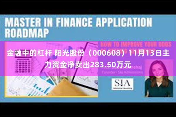 金融中的杠杆 阳光股份（000608）11月13日主力资金净卖出283.50万元