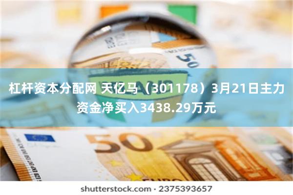 杠杆资本分配网 天亿马（301178）3月21日主力资金净买入3438.29万元