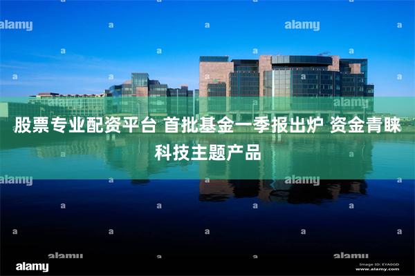 股票专业配资平台 首批基金一季报出炉 资金青睐科技主题产品