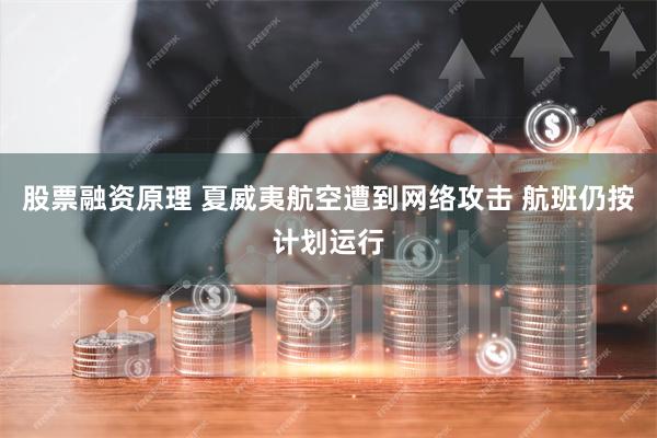 股票融资原理 夏威夷航空遭到网络攻击 航班仍按计划运行